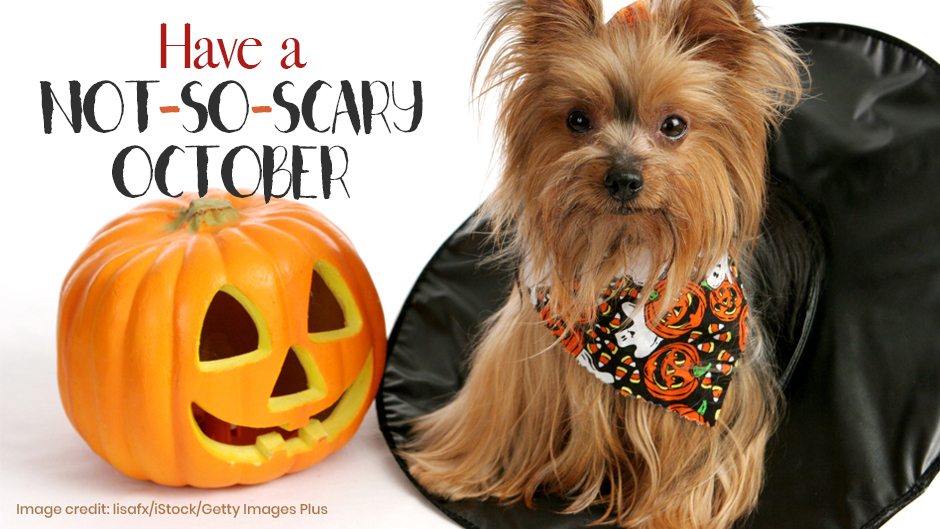 Not-So-Scary-October