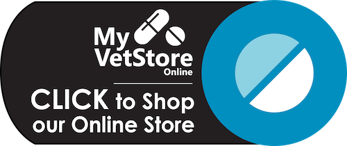 My VetStore Logo